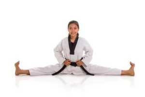 Taekwondo-Stilrichtungen